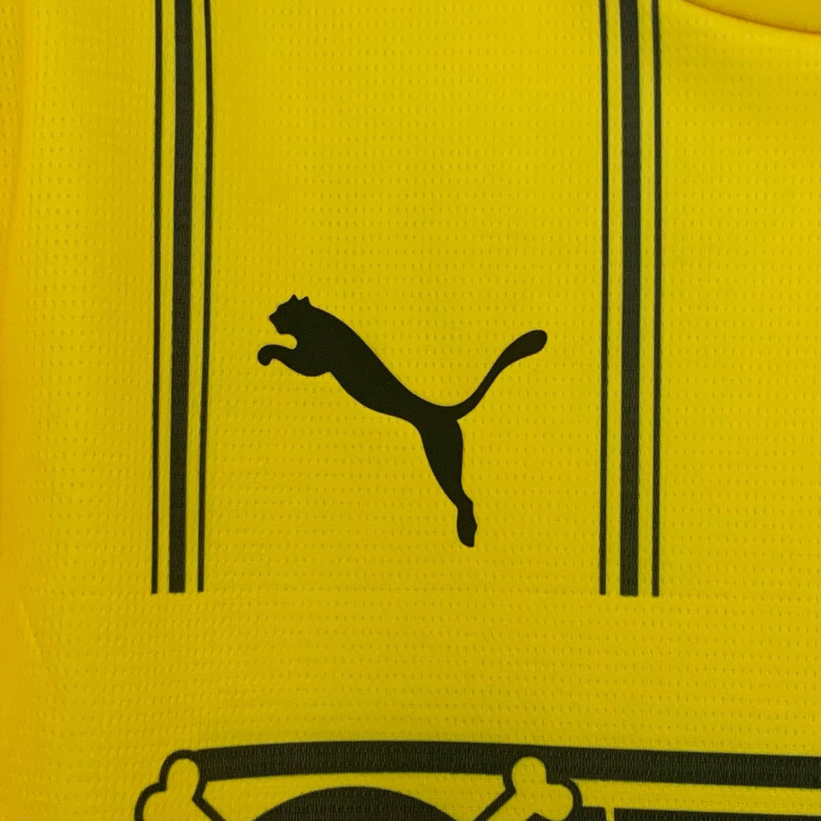 NEW CAMISETA BORUSSIA DORTMUND X ONE PIECE SPECIAL EDITION 25/26