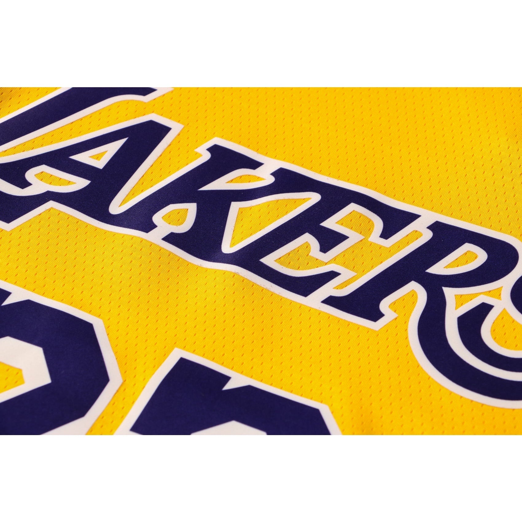 CAMISETA JAMES LAKERS