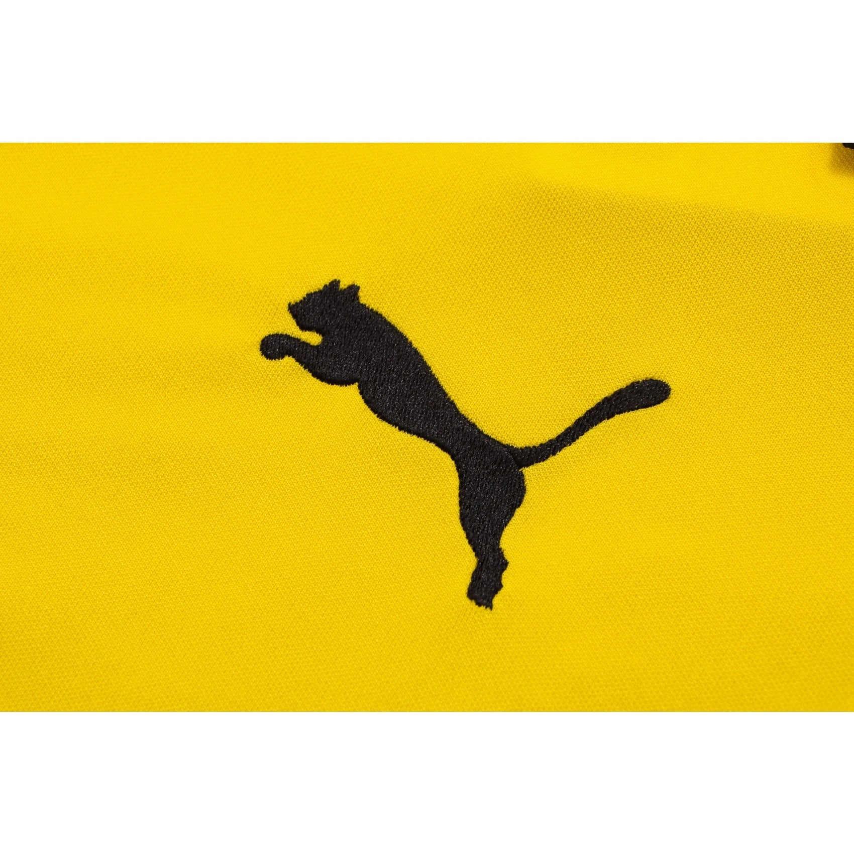 NEW BORUSSIA DORTMUND TRACKSUIT POLO 1º