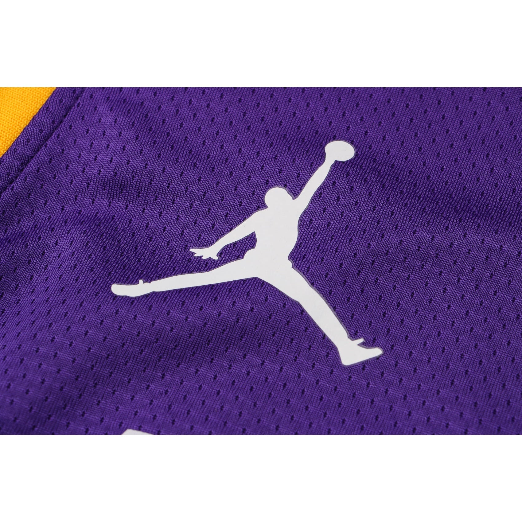 CAMISETA JAMES LAKERS