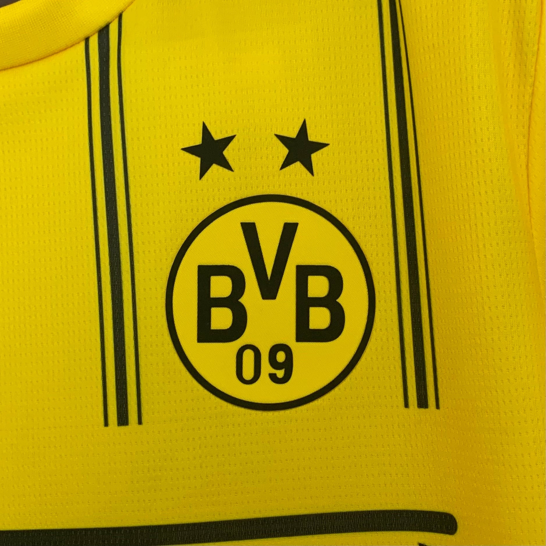 NEW CAMISETA BORUSSIA DORTMUND X ONE PIECE SPECIAL EDITION 25/26